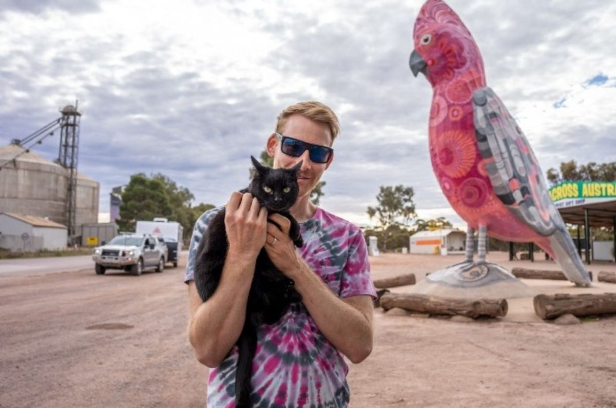 Besitzer und seine Katze auf einer Reise