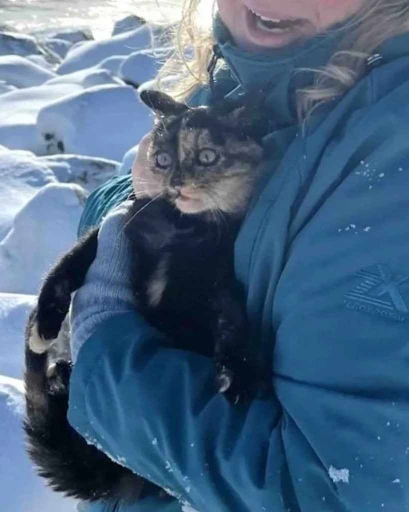 Frau waermt Katze an einem verschneiten Tag