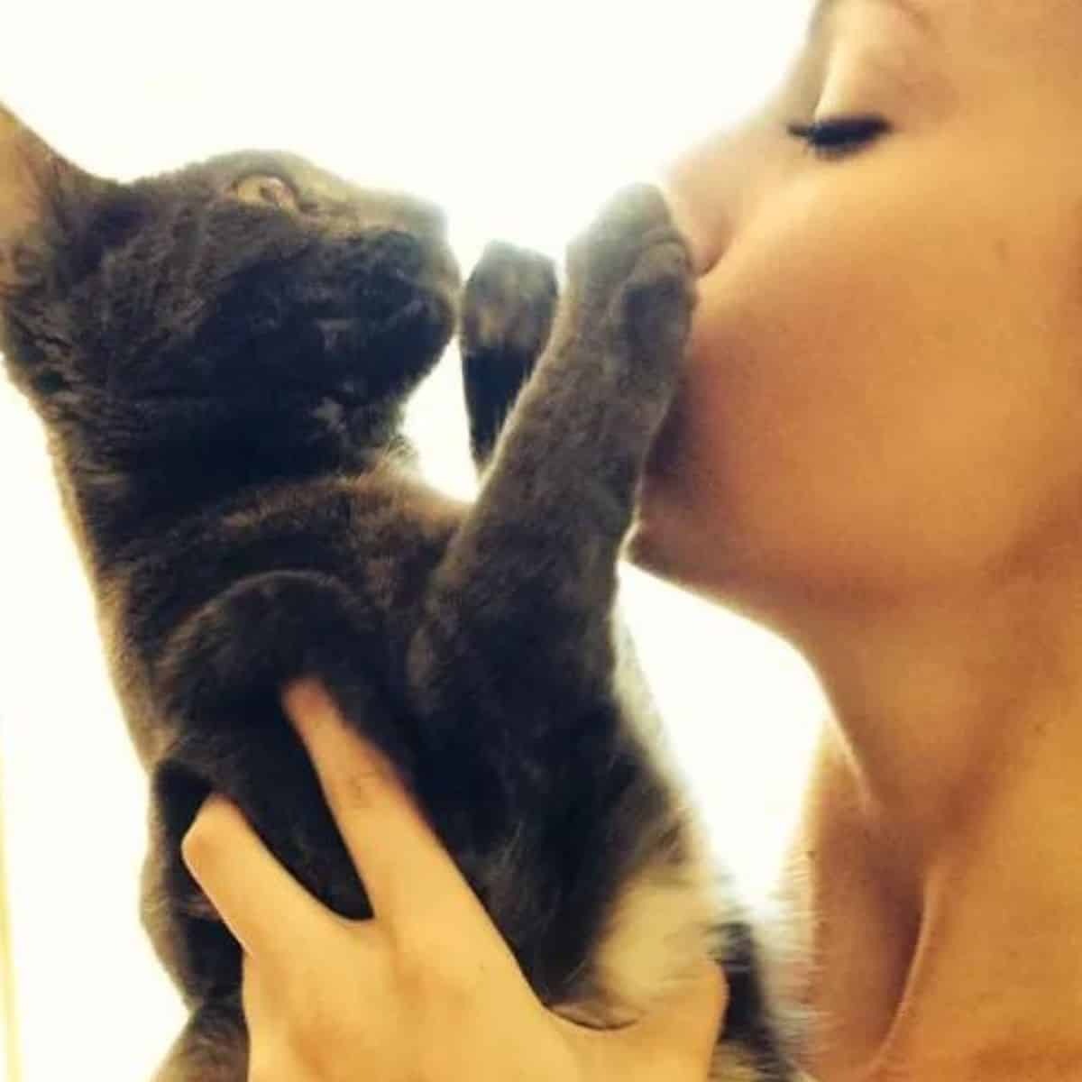 Katze hat genug von der Liebe ihrer Besitzerin