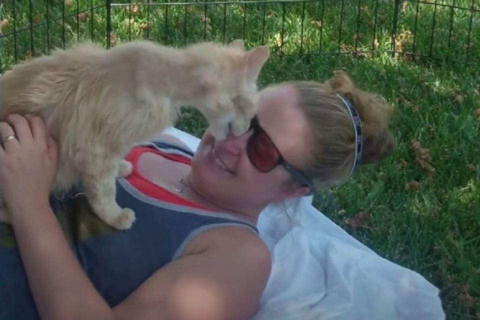 Katze kuesst Besitzerin auf die Nase