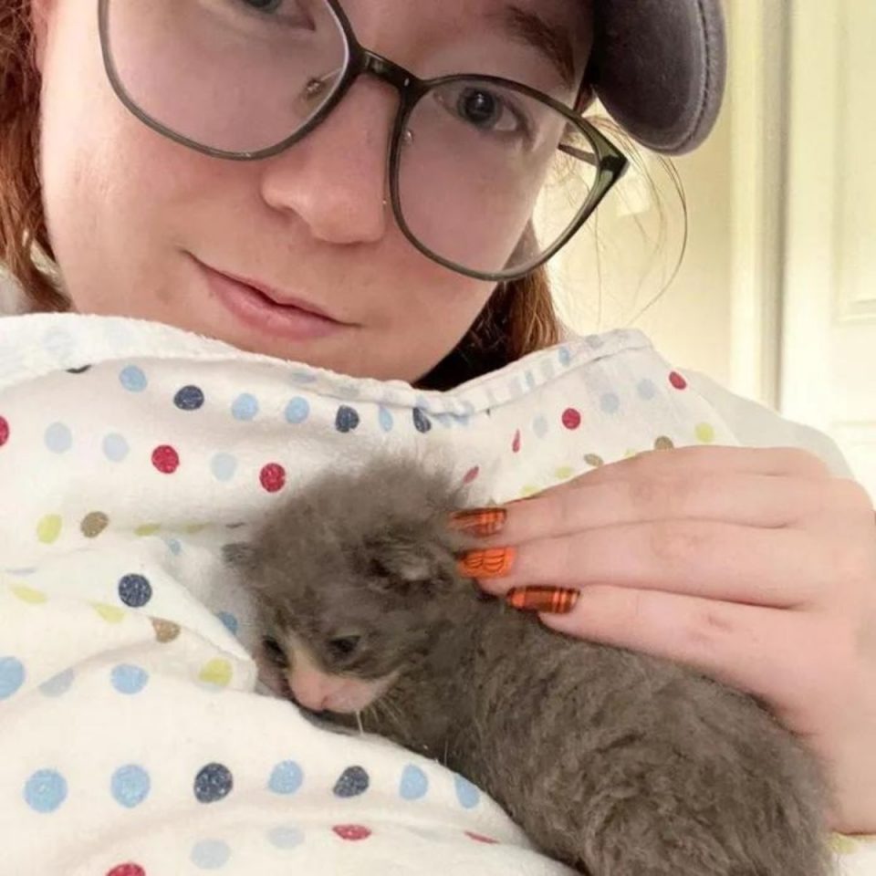 Katzenbaby wird von einer Frau gehalten