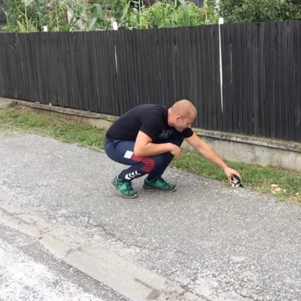 Mann findet kleines Katzenbaby auf der Straße