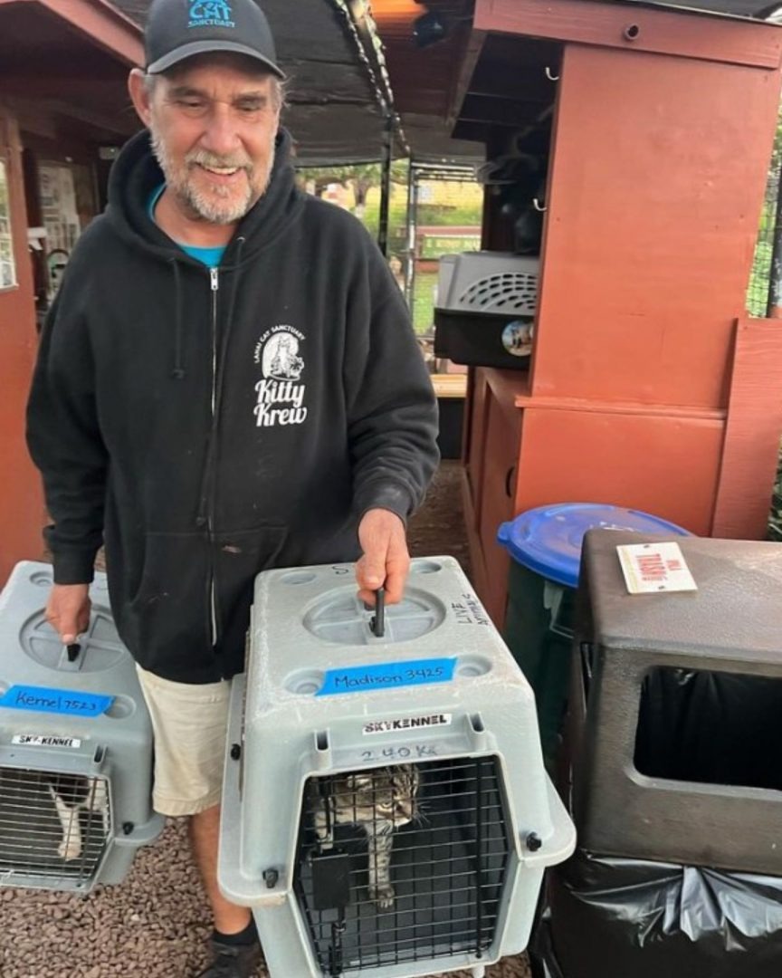 Mann traegt Katzen in Transportboxen