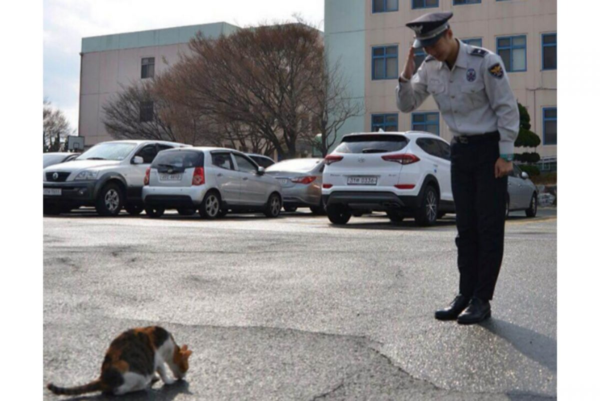 Polizist begruesst Katze