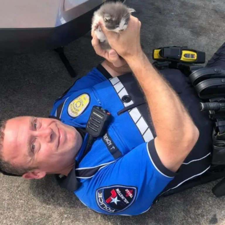 (Polizist mit einer kleinen Katze in der Hand