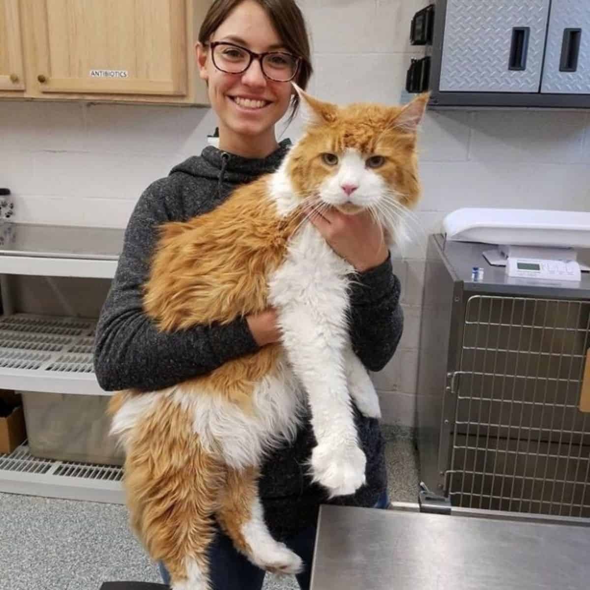 Foto einer Frau mit einer riesigen Katze