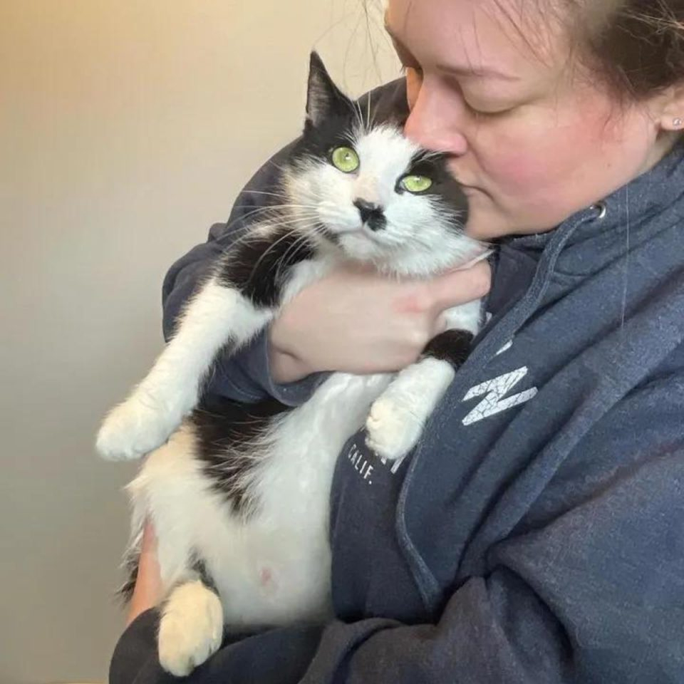 Frau haelt Katze Oreo