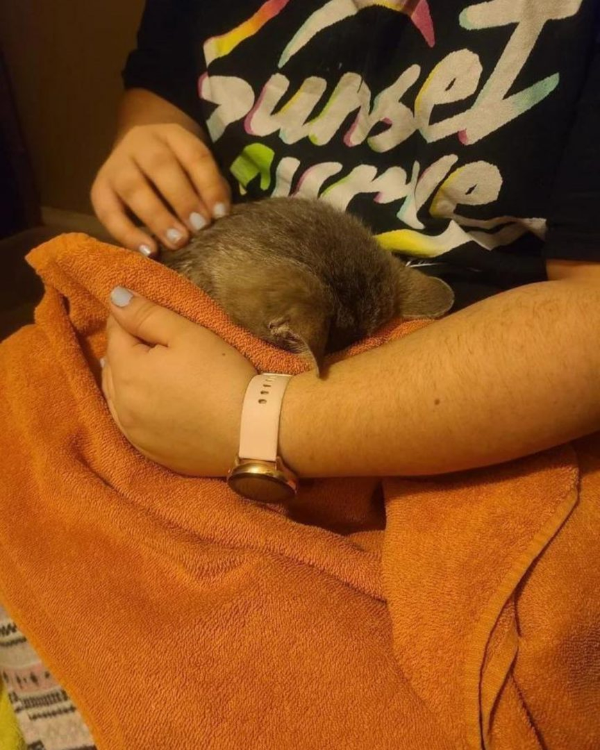 Frau streichelt Katze auf einem orangefarbenen Handtuch