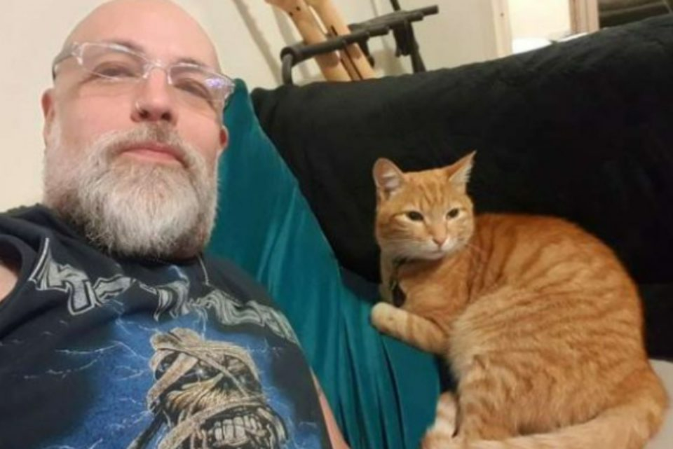 Kater Tiger sitzt neben seinem neuen Lieblingsnachbarn