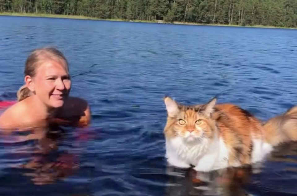 Katze und Besitzerin schwimmen im See