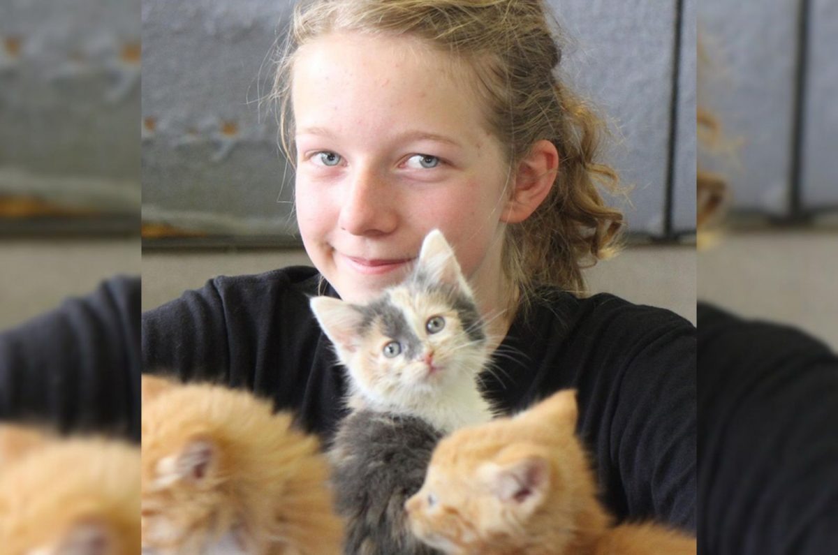 Katzenbabys und ihre Retterin