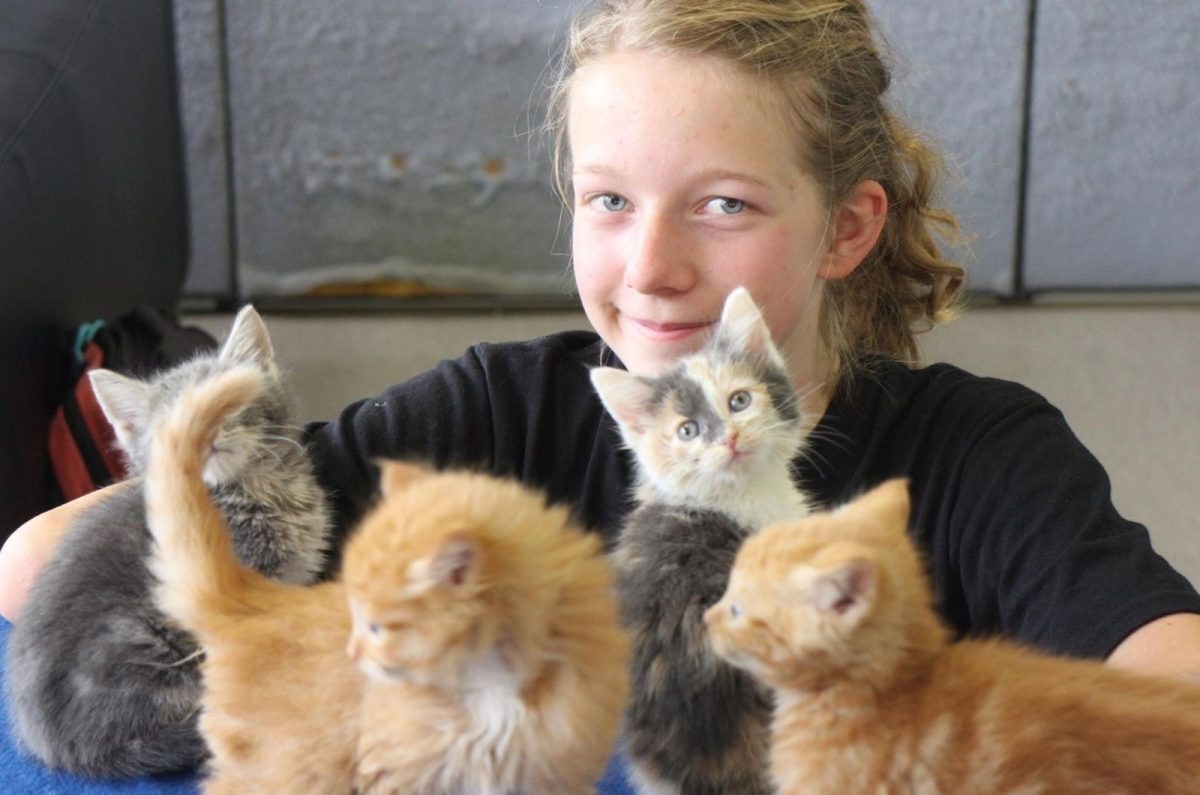 Maedchen mit vier Katzenbabys