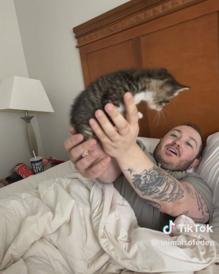 Mann liegt im Bett und haelt eine Katze