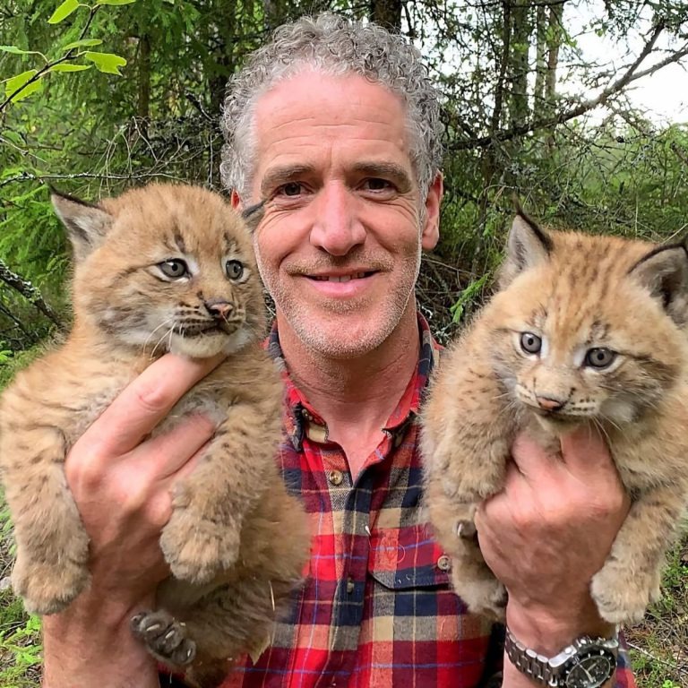 Mann mit zwei Luchs-Babys