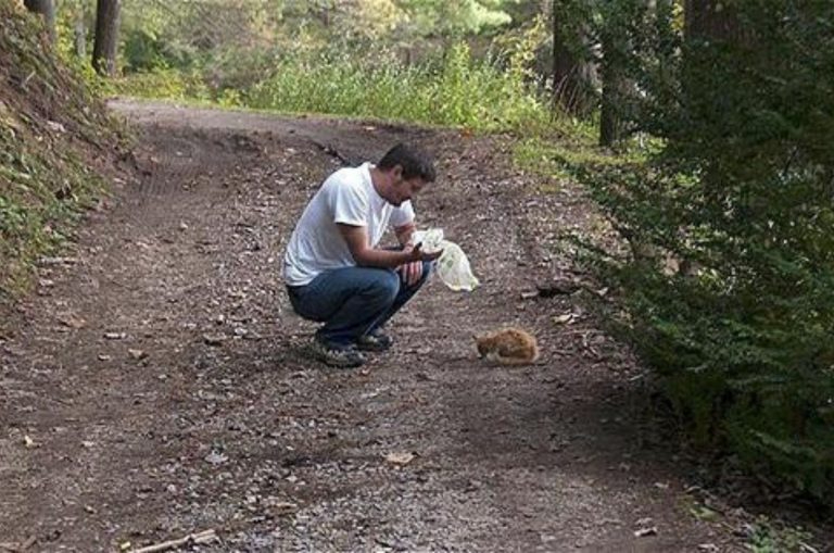 Mann und Katze im Wald