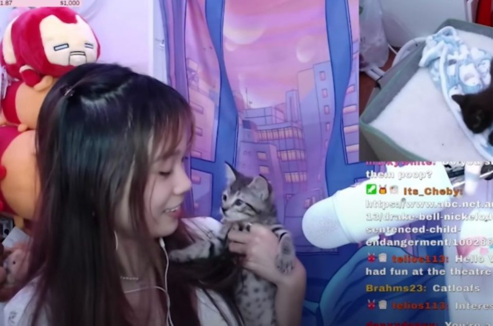 Streamerin und ihre kleine Katze