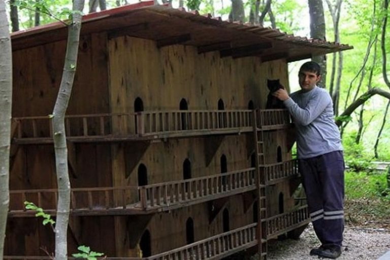 Foto eines Mannes der eine Katze neben einem Katzenhaus haelt