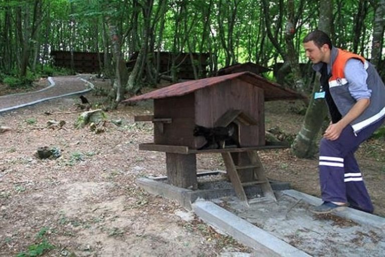 Foto von einem Mann und einer schwarzen Katze im Tierheim