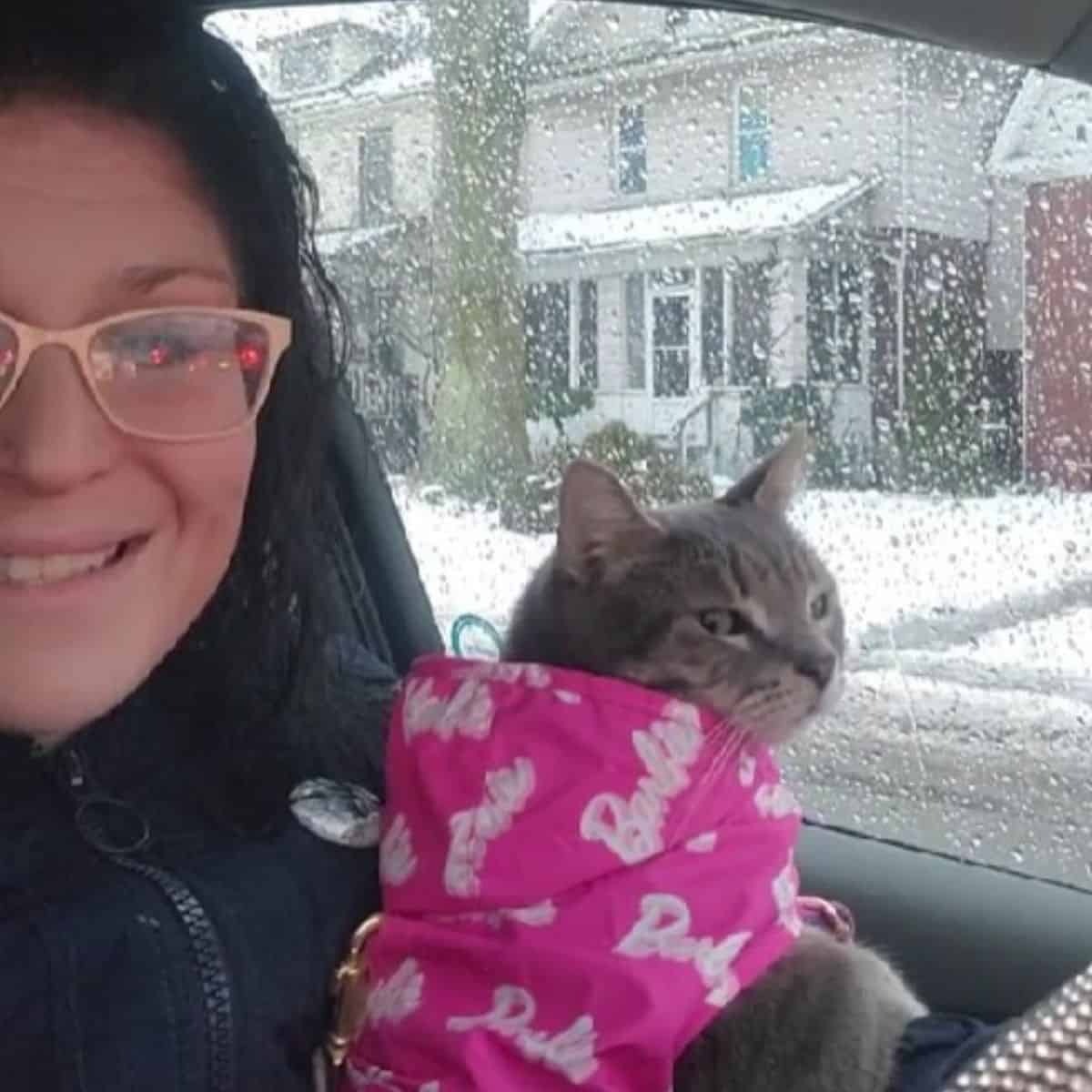 Katze mit Frau im Auto