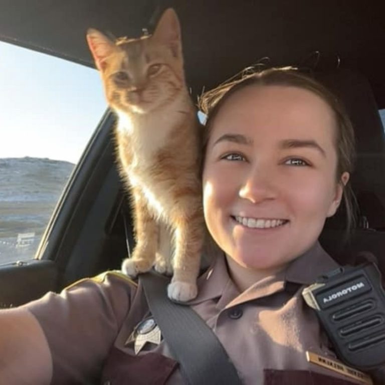 Polizistin mit Katze im Polizeiauto