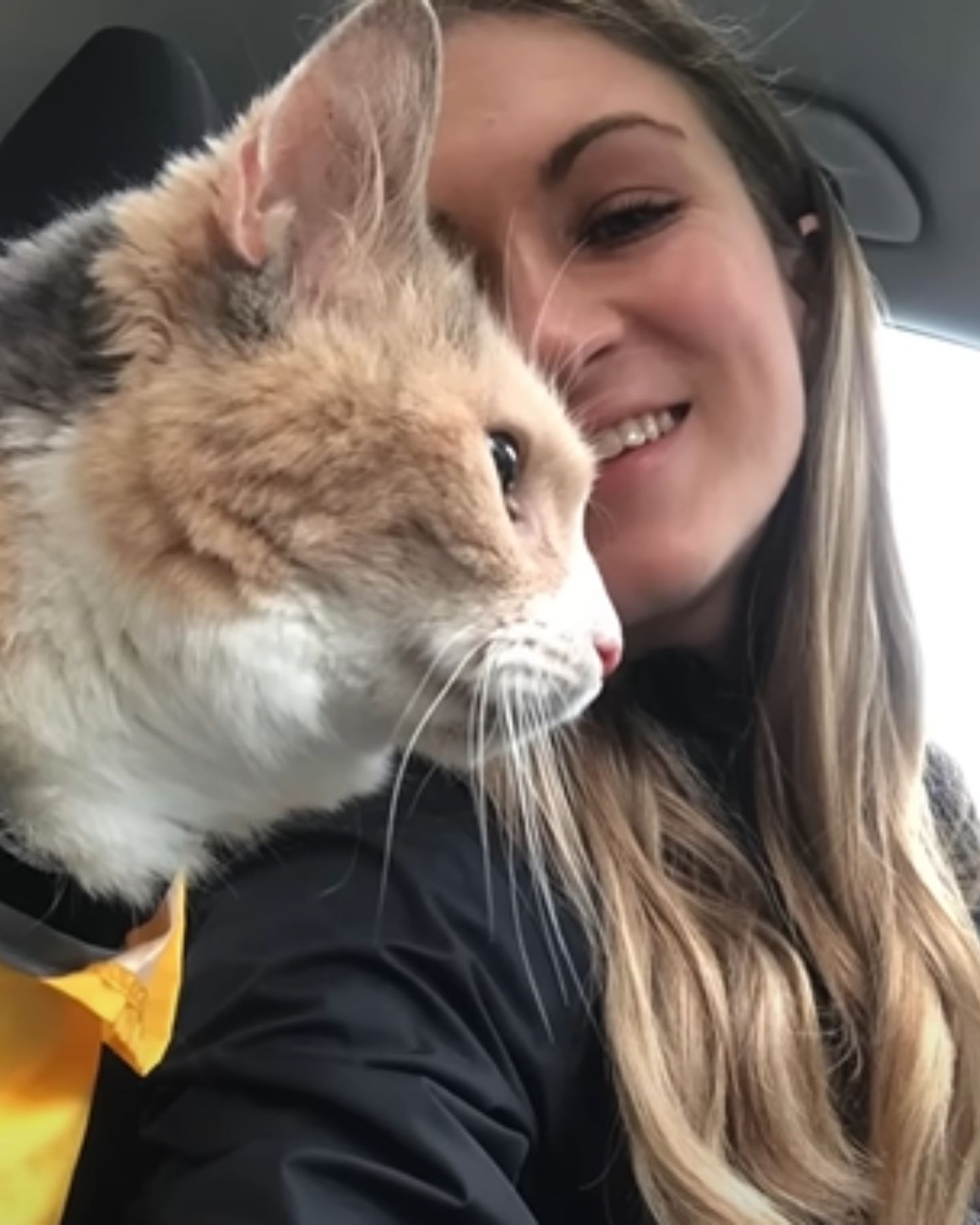 Frau und ihre Katze im Auto