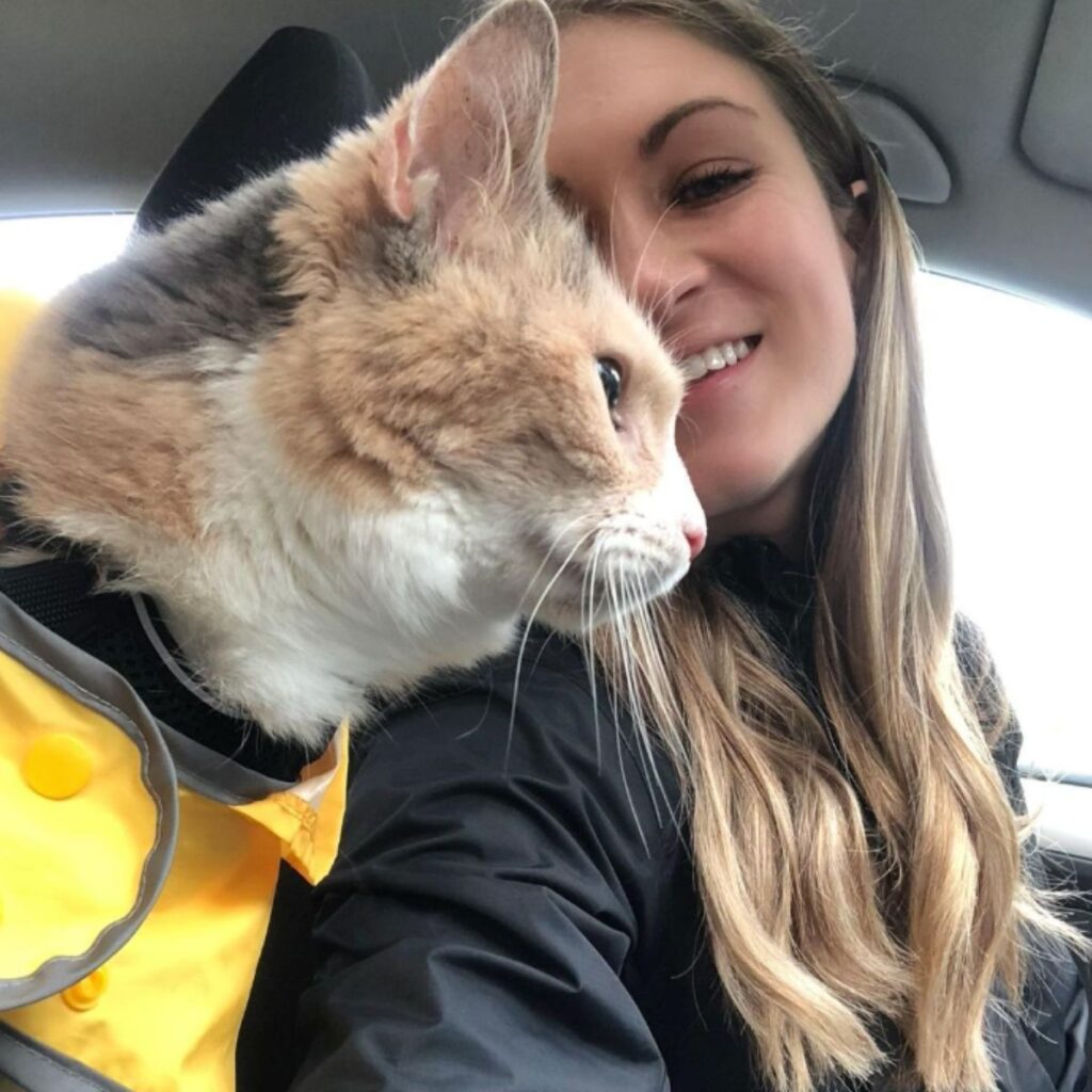 Katze mit Frau im Auto