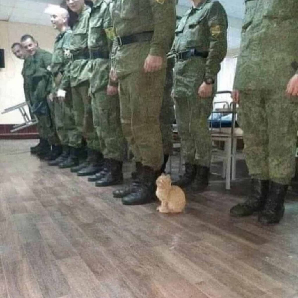 Kleine Katze neben Soldaten