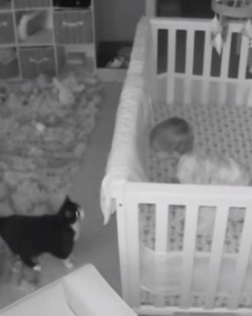 Katze und Baby im Kinderzimmer