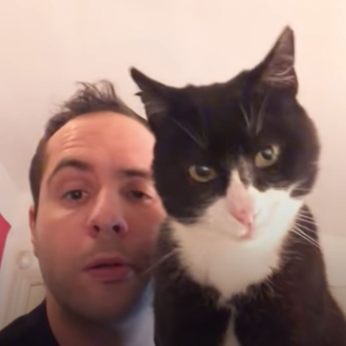 Mann und Katze machen ein Foto