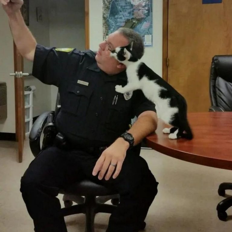 Polizist macht ein Foto mit einer Katze