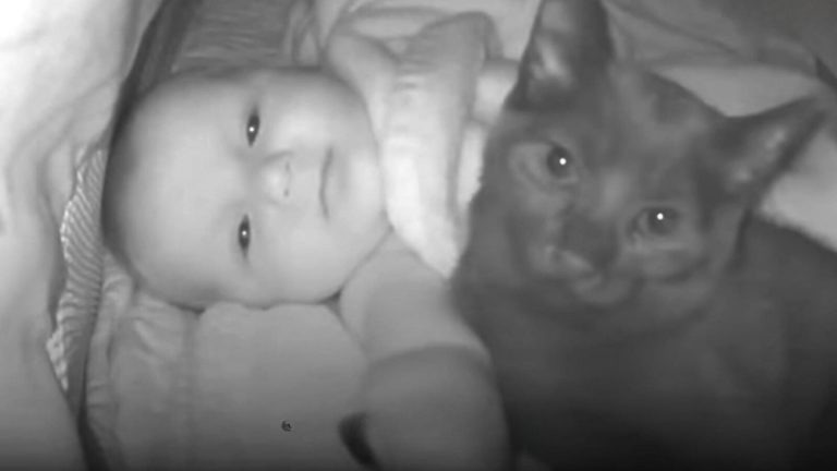 Katze mit Baby im Kinderbett