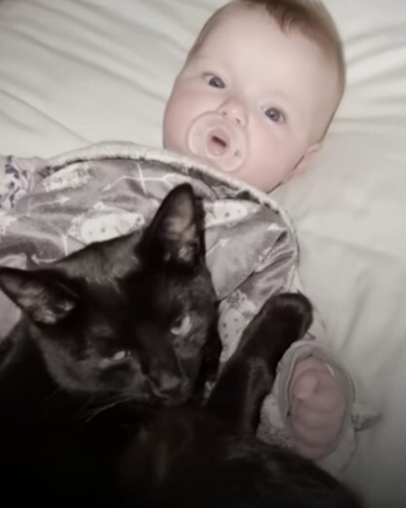 Katze liegt auf Baby