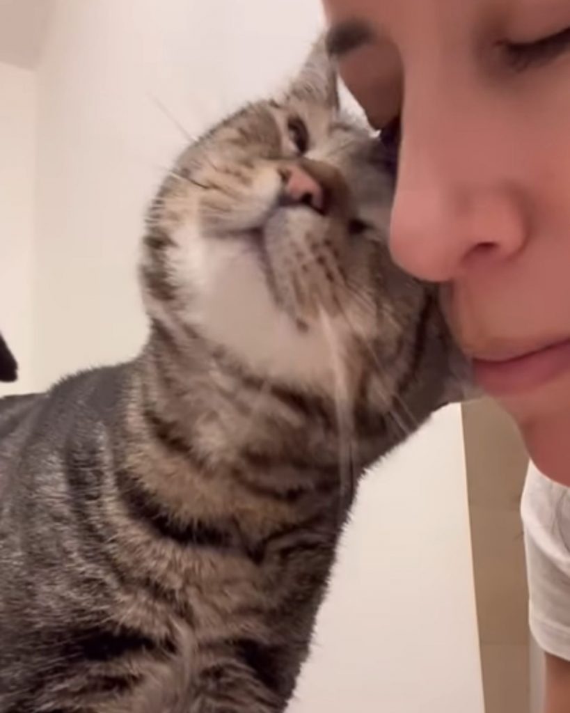 Katze mit ihrer Besitzerin