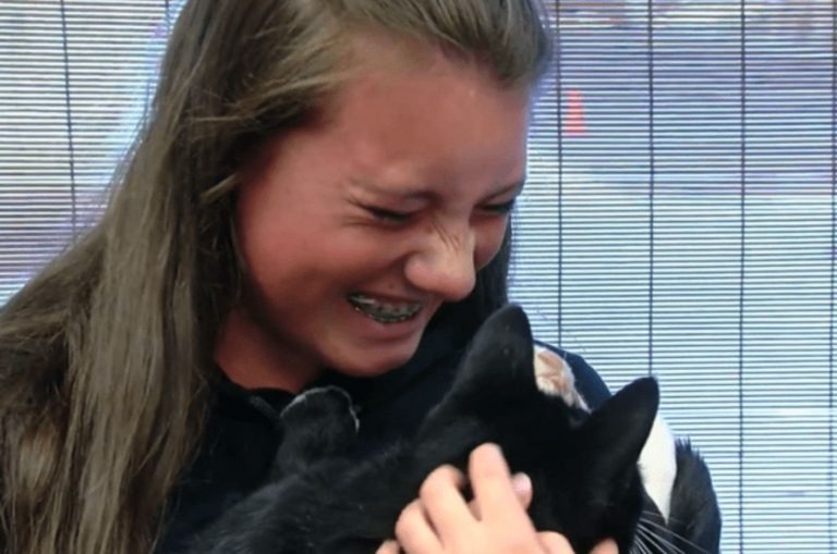 Maedchen freut sich ihre Katze wiederzusehen