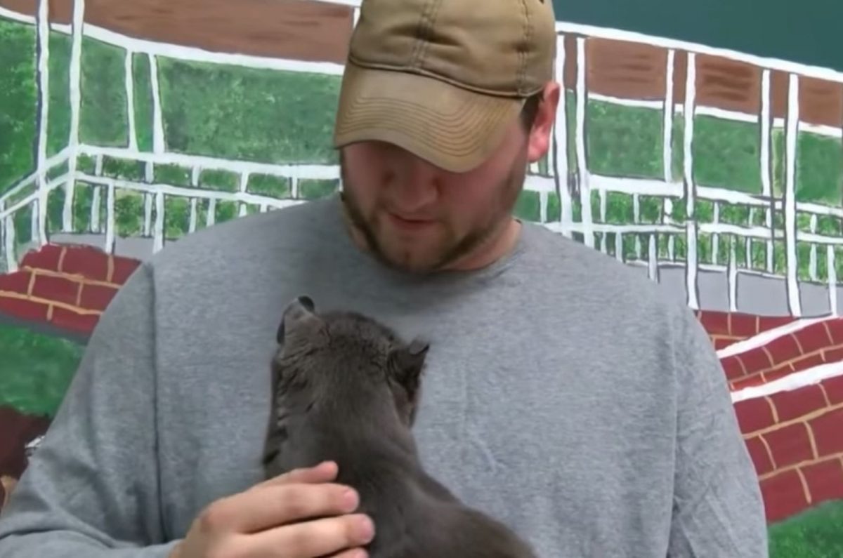 Mann mit Katze wiedervereint