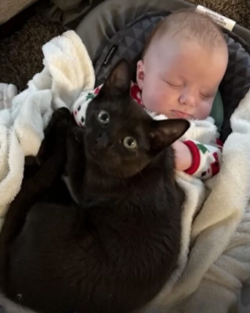 Schwarze Katze und ein schlafendes Baby