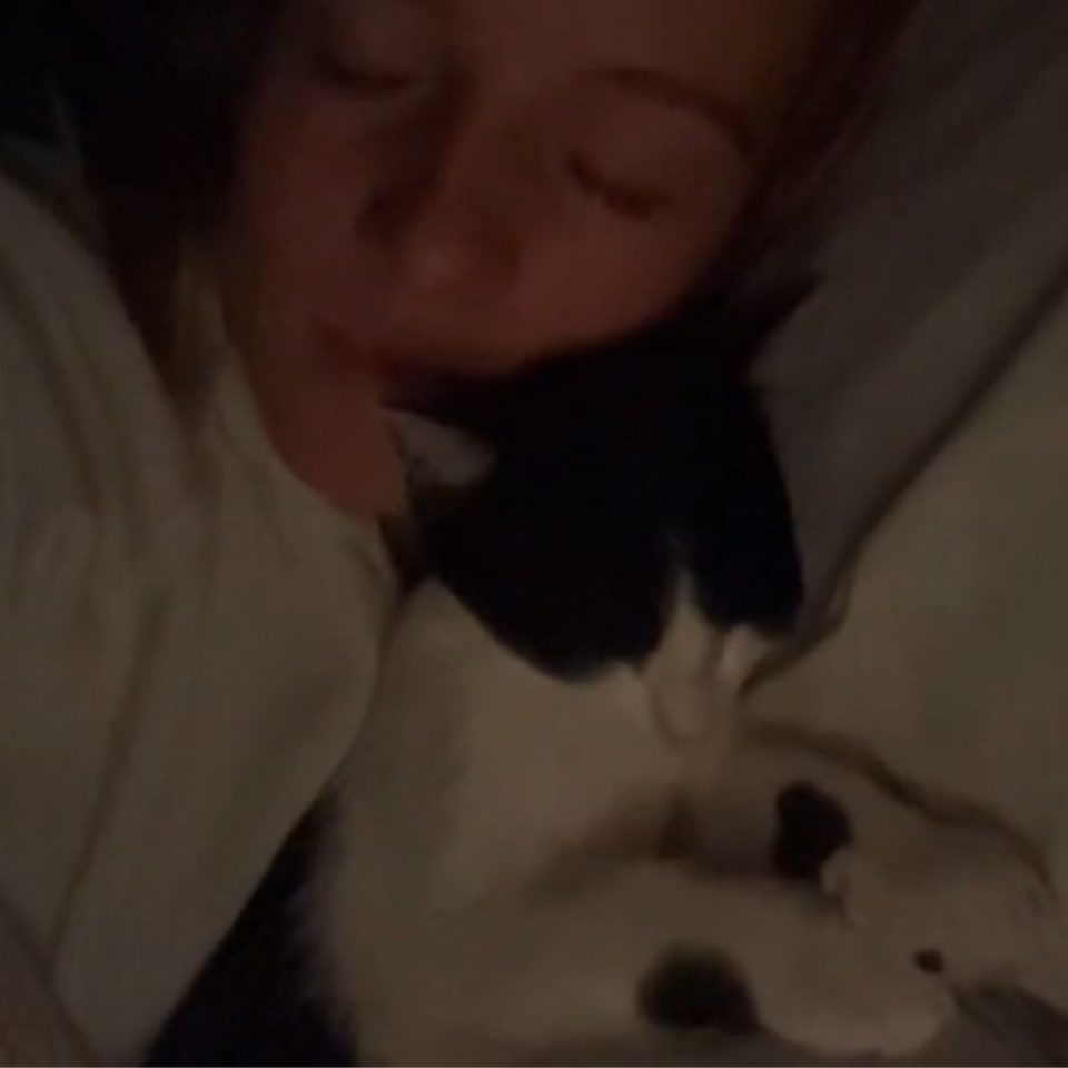 Frau und ihre Katze schlafen im Bett