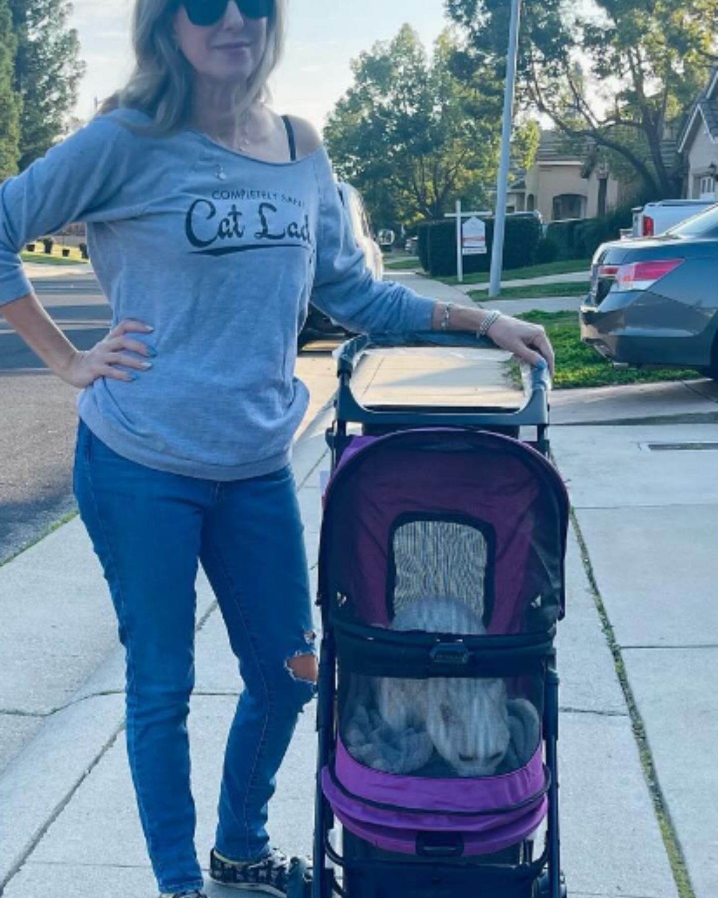 Katze im Kinderwagen