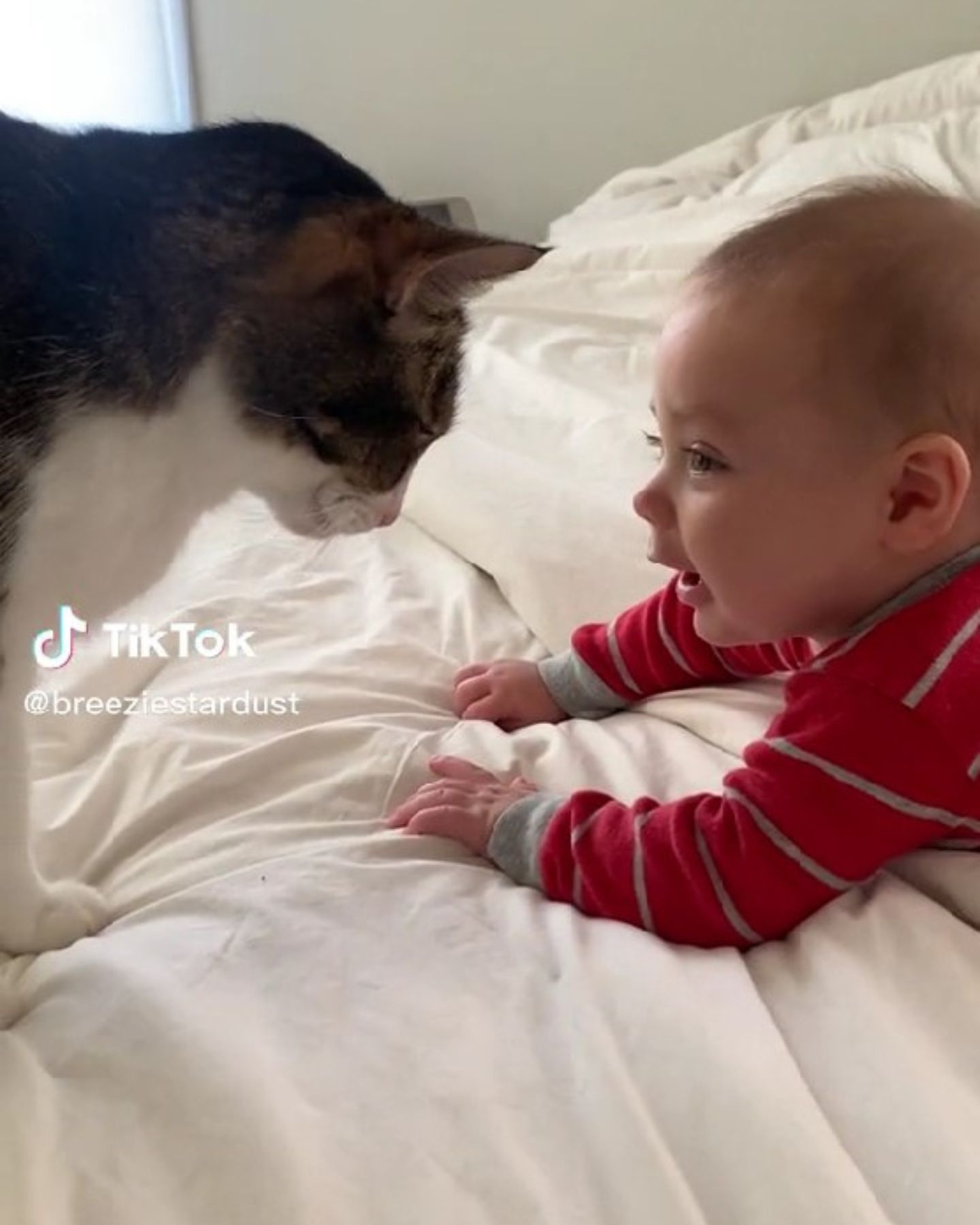 Katze und Baby auf Bett