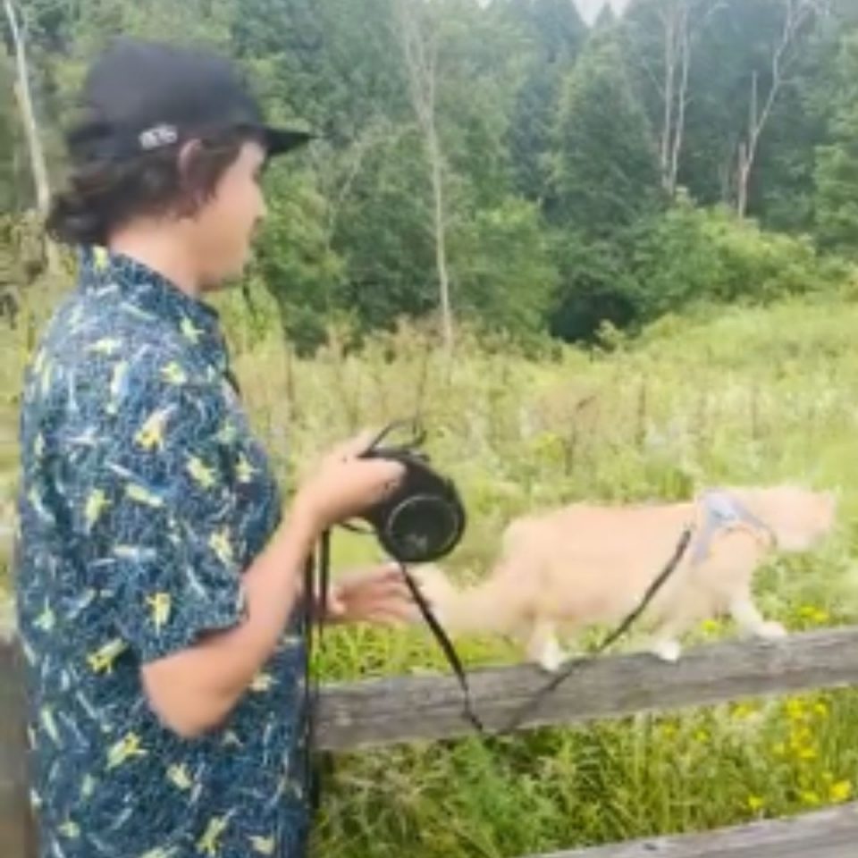 Mann und eine Katze an der Leine